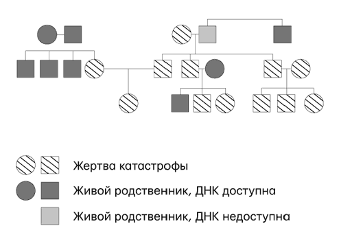 Думай «почему?». Причина и следствие как ключ к мышлению