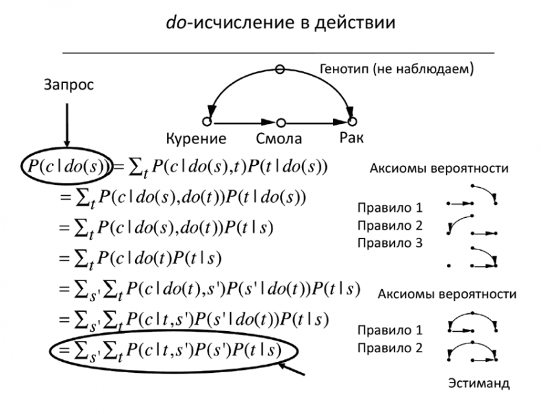 Думай «почему?». Причина и следствие как ключ к мышлению