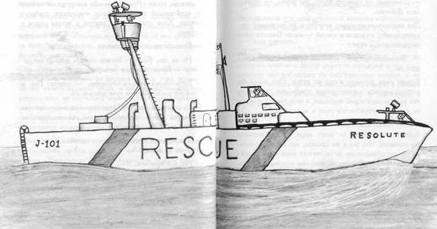 Хорьки-спасатели на море