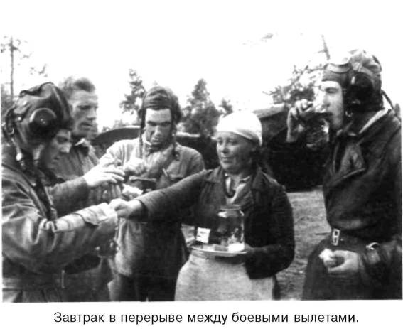 Я дрался на истребителе. Принявшие первый удар. 1941-1942