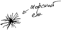 Тропик лейтенанта. Пиратское рондо