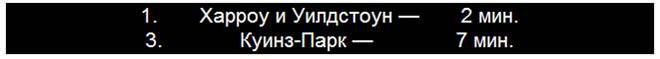 Загадочное ночное убийство собаки