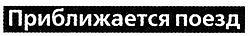 Загадочное ночное убийство собаки