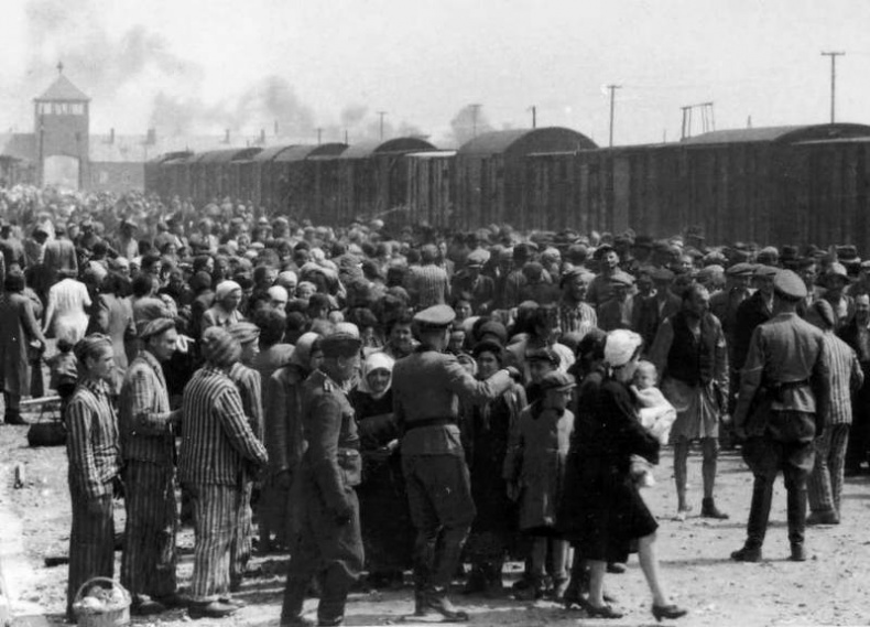 Освенцим. Нацисты и "окончательное решение еврейского вопроса"