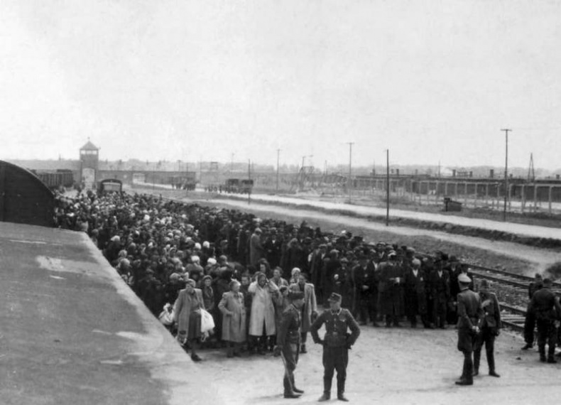 Освенцим. Нацисты и "окончательное решение еврейского вопроса"