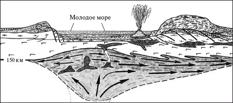 Верхом на бомбе. Судьба планеты Земля и ее обитателей