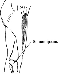 Большой атлас целительных точек. Китайская медицина на страже здоровья и долголетия