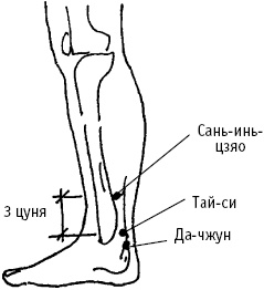 Большой атлас целительных точек. Китайская медицина на страже здоровья и долголетия