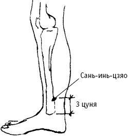 Большой атлас целительных точек. Китайская медицина на страже здоровья и долголетия