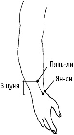 Большой атлас целительных точек. Китайская медицина на страже здоровья и долголетия