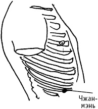 Большой атлас целительных точек. Китайская медицина на страже здоровья и долголетия