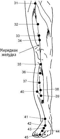 Большой атлас целительных точек. Китайская медицина на страже здоровья и долголетия