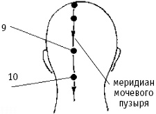 Большой атлас целительных точек. Китайская медицина на страже здоровья и долголетия