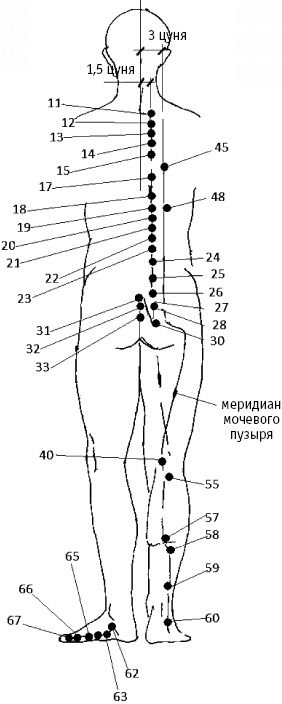 Большой атлас целительных точек. Китайская медицина на страже здоровья и долголетия