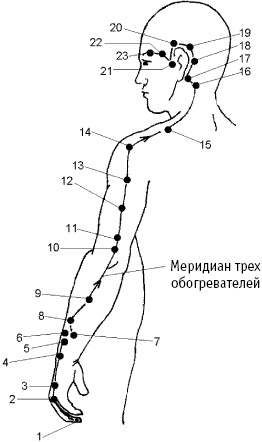 Большой атлас целительных точек. Китайская медицина на страже здоровья и долголетия