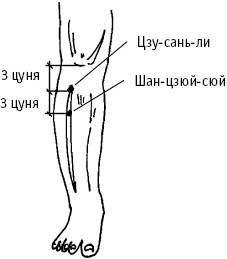 Большой атлас целительных точек. Китайская медицина на страже здоровья и долголетия