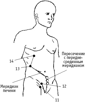 Большой атлас целительных точек. Китайская медицина на страже здоровья и долголетия