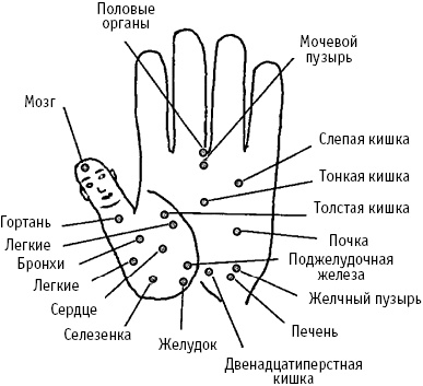 Большой атлас целительных точек. Китайская медицина на страже здоровья и долголетия