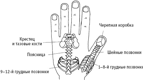 Большой атлас целительных точек. Китайская медицина на страже здоровья и долголетия