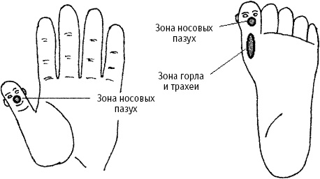 Большой атлас целительных точек. Китайская медицина на страже здоровья и долголетия