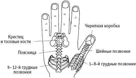 Большой атлас целительных точек. Китайская медицина на страже здоровья и долголетия