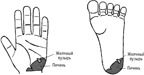 Большой атлас целительных точек. Китайская медицина на страже здоровья и долголетия