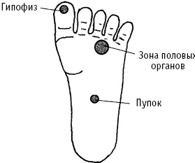 Большой атлас целительных точек. Китайская медицина на страже здоровья и долголетия