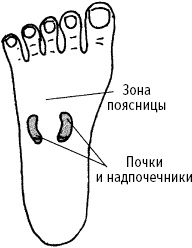 Большой атлас целительных точек. Китайская медицина на страже здоровья и долголетия