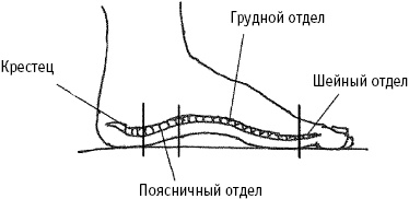 Большой атлас целительных точек. Китайская медицина на страже здоровья и долголетия