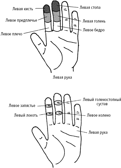 Большой атлас целительных точек. Китайская медицина на страже здоровья и долголетия