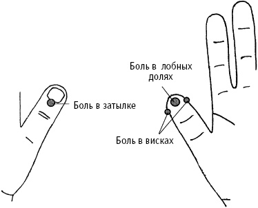 Большой атлас целительных точек. Китайская медицина на страже здоровья и долголетия