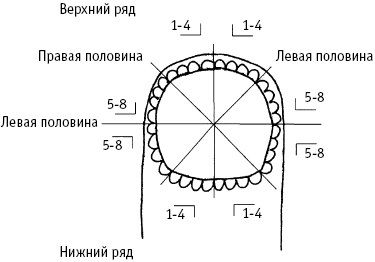 Большой атлас целительных точек. Китайская медицина на страже здоровья и долголетия