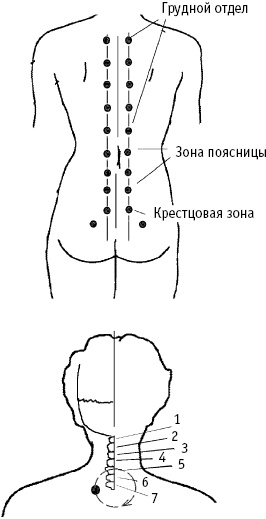 Большой атлас целительных точек. Китайская медицина на страже здоровья и долголетия