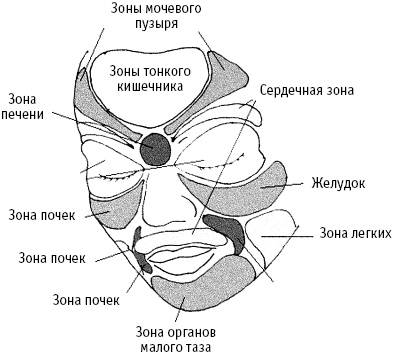 Большой атлас целительных точек. Китайская медицина на страже здоровья и долголетия