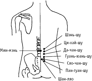 Большой атлас целительных точек. Китайская медицина на страже здоровья и долголетия