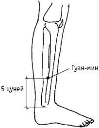 Большой атлас целительных точек. Китайская медицина на страже здоровья и долголетия