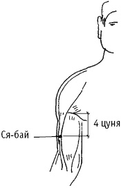 Большой атлас целительных точек. Китайская медицина на страже здоровья и долголетия