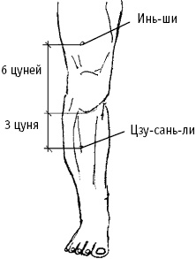 Большой атлас целительных точек. Китайская медицина на страже здоровья и долголетия