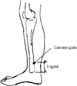 Большой атлас целительных точек. Китайская медицина на страже здоровья и долголетия