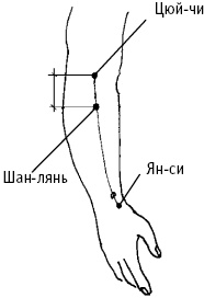 Большой атлас целительных точек. Китайская медицина на страже здоровья и долголетия