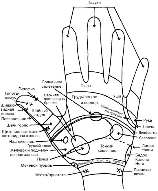 Целительные точки нашего тела. Практический атлас