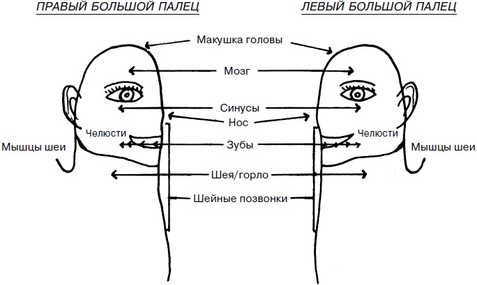 Целительные точки нашего тела. Практический атлас