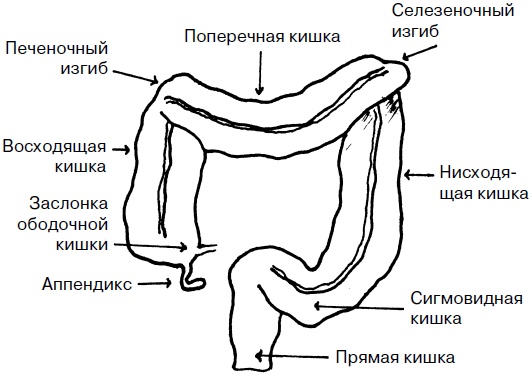 Целительные точки нашего тела. Практический атлас