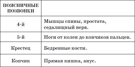 Целительные точки нашего тела. Практический атлас