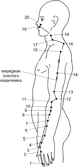 Простукивание активных точек - метод пробуждения целительной энергии. С подробным атласом