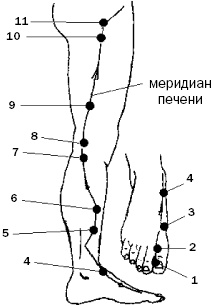 Простукивание активных точек - метод пробуждения целительной энергии. С подробным атласом