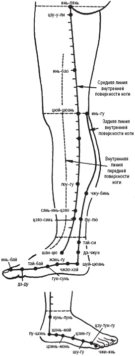 Лечебные точки организма. Снимаем боли в сердце и в области живота