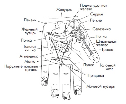 Шунгит, су-джок, вода - для здоровья тех, кому за...