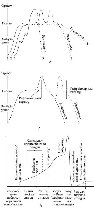 Атлас. Анатомия и физиология человека