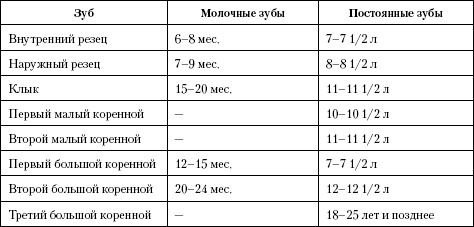 Атлас. Анатомия и физиология человека